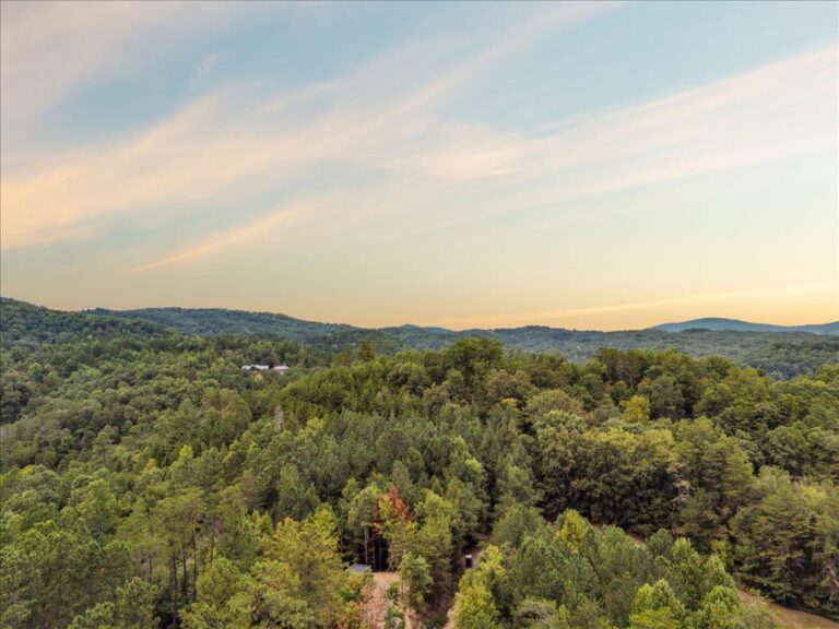 Livin' The Dream (108)