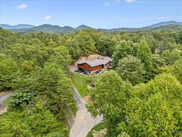 Livin' The Dream (93)