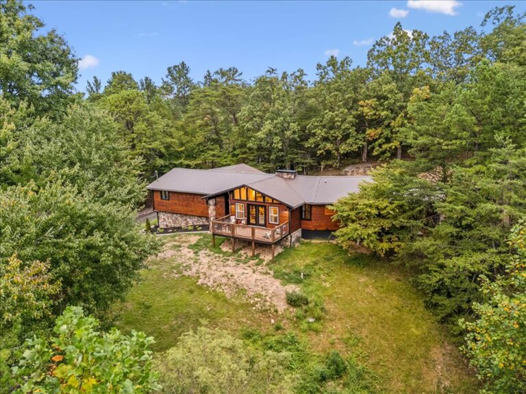 Livin' The Dream (96)