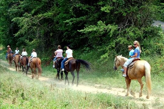 Smoky Mountain Deer Farm 