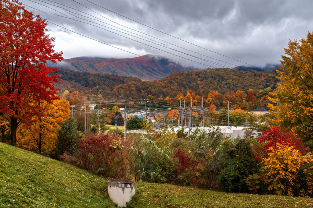 Fall in the Smoky Mountains: A Refined Guide to Family Memories That Last