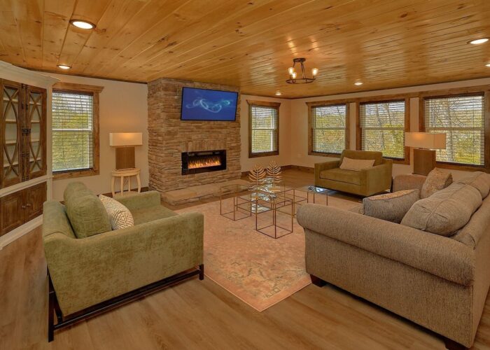 Living room with electric fireplace