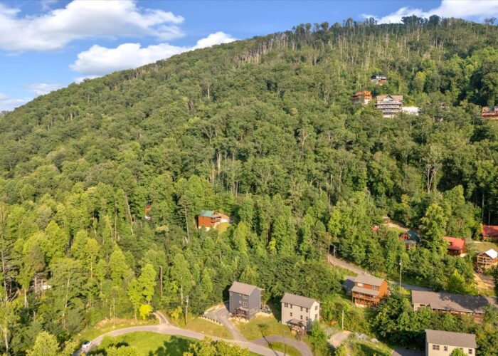 Bearfoot Bungalow (9)