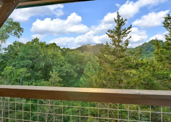 Soaring In The Smokies (27)