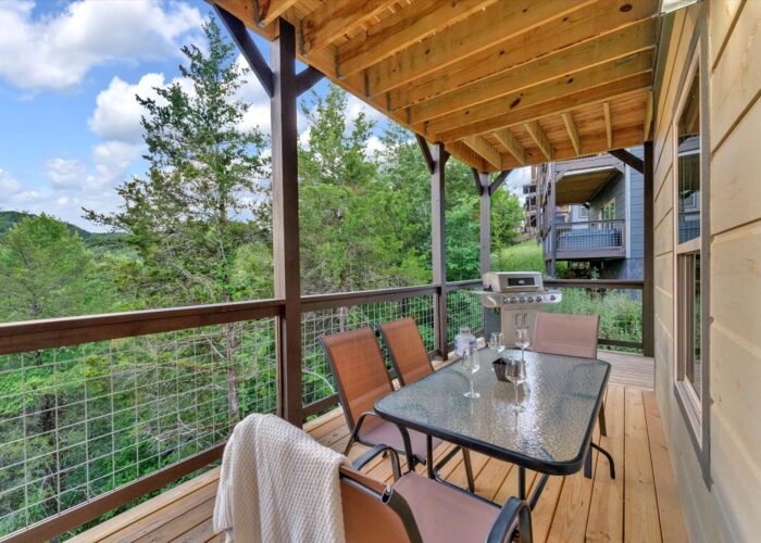 Soaring In The Smokies (59)