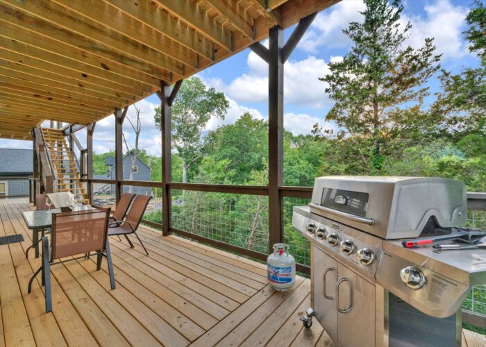 Soaring In The Smokies (60)