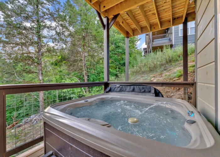 Soaring In The Smokies (66)