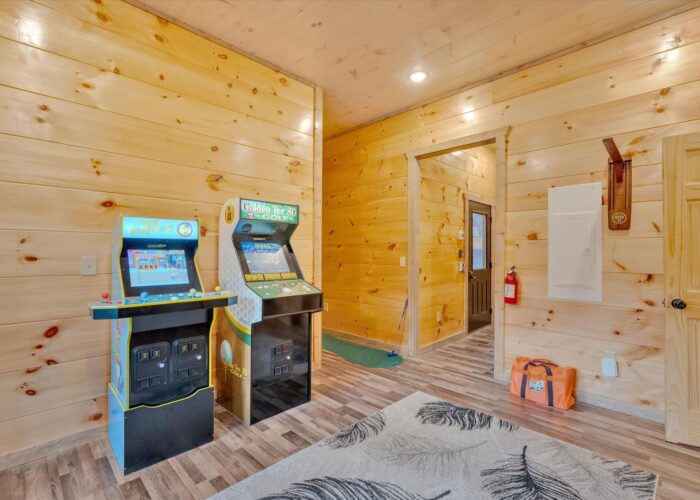 Soaring In The Smokies (74)