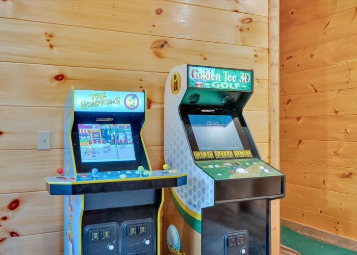 Soaring In The Smokies (79)