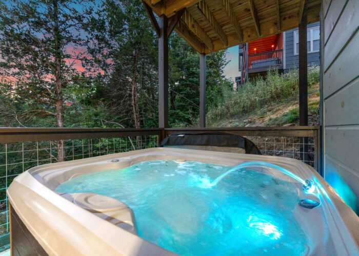 Soaring In The Smokies (8)