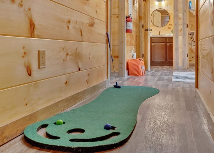 Soaring In The Smokies (81)