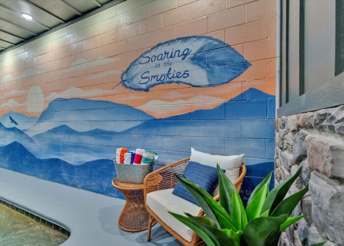 Soaring In The Smokies (83)