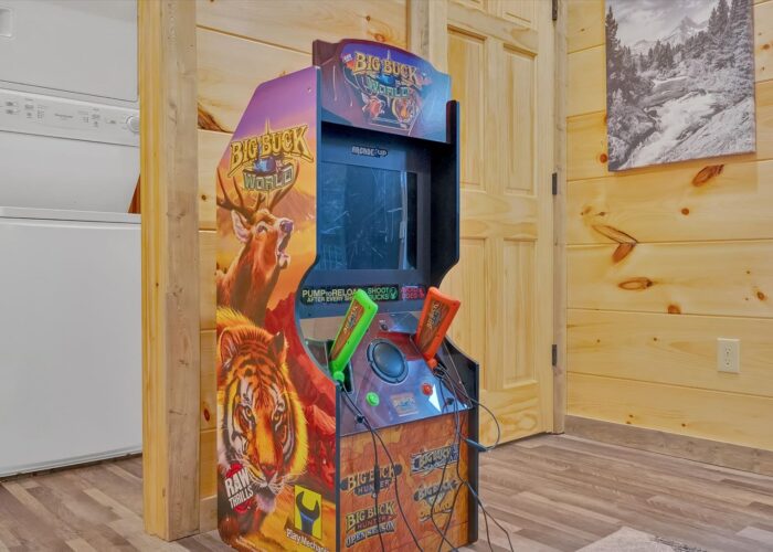 Soaring In The Smokies (89)