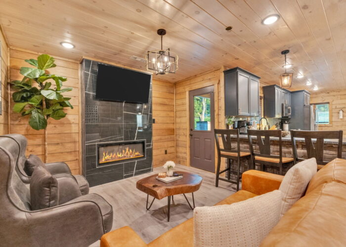 Top Notch (56) -Living room